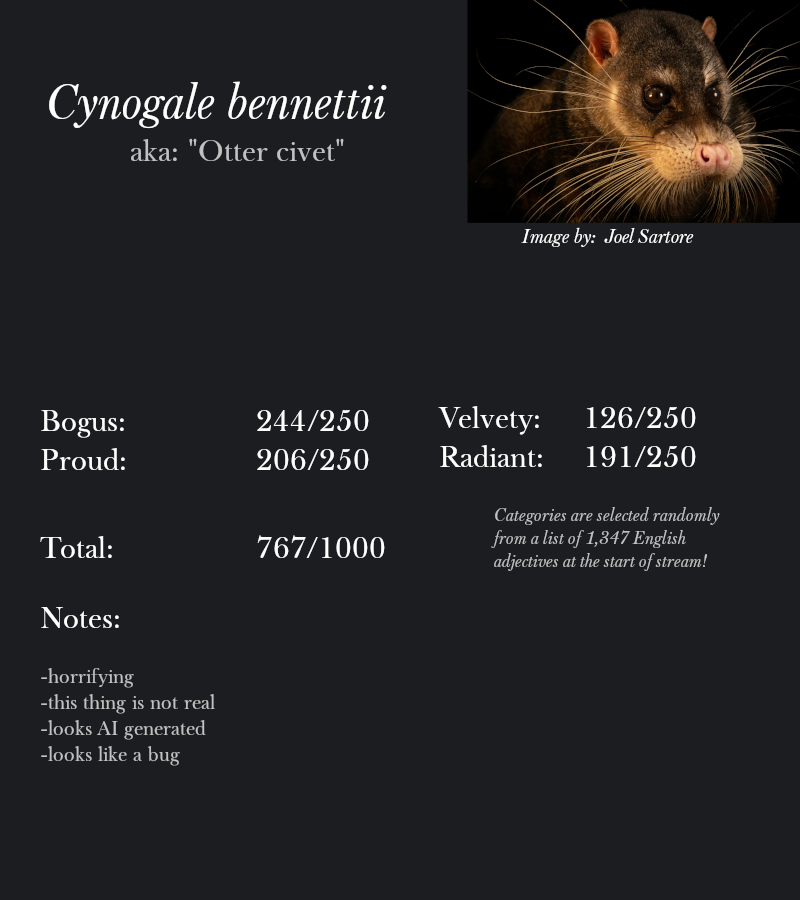 Cynogale bennettii